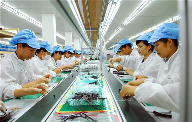 Chuyên gia quốc tế ca ngợi thành tựu phát triển kinh tế của Việt Nam