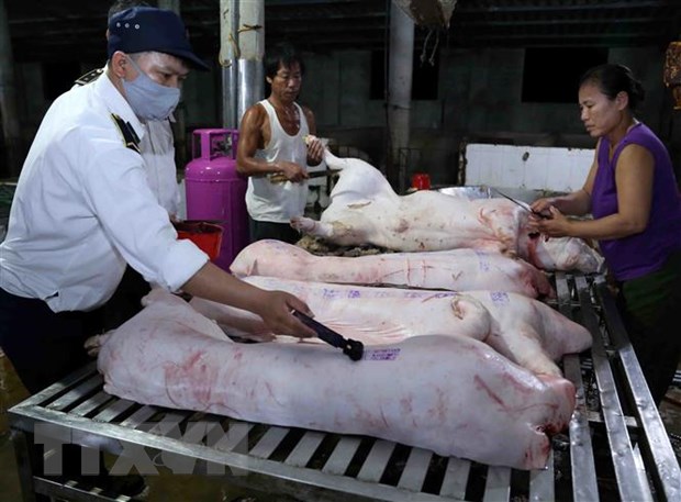 Bộ Công Thương thành lập Đoàn kiểm tra liên ngành mặt hàng thịt lợn