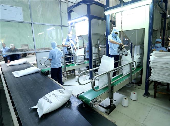 Việt Nam - ASEAN khẳng định vị thế hợp tác khu vực và thế giới