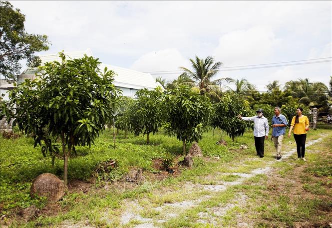 Người thương binh vượt khó làm giàu từ quê hương Hòn Đất