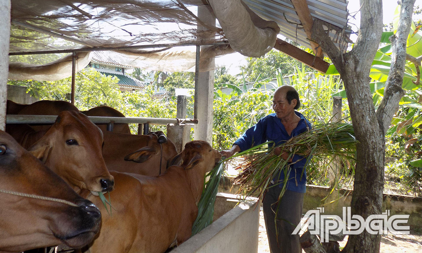 Tấm gương giàu nghị lực của một thương binh