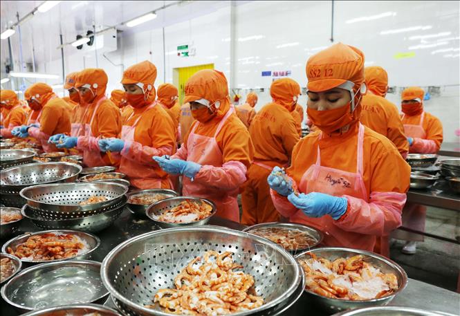WB dự báo Việt Nam có tốc độ tăng trưởng kinh tế lớn thứ 5 thế giới năm 2020