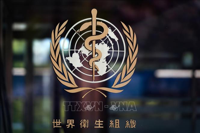 WHO thành lập nhóm chuyên gia tư vấn khoa học hành vi để giúp chống COVID-19
