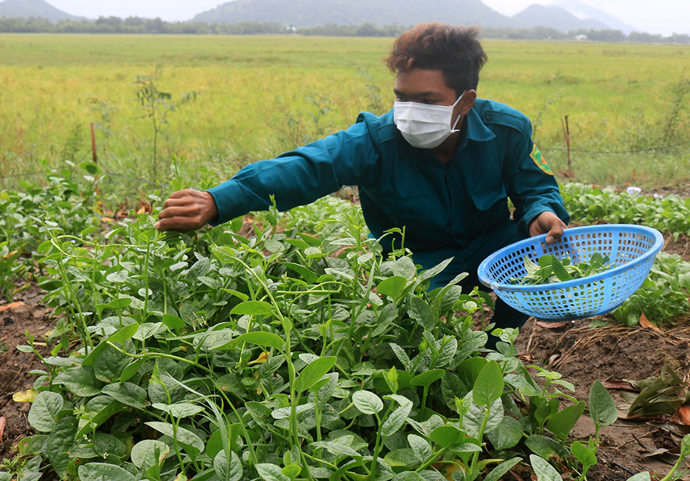 “Trận chiến” lâu dài ở biên giới An Giang