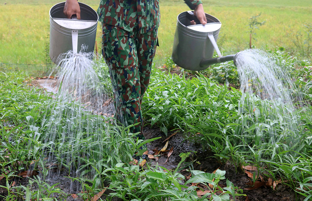 “Trận chiến” lâu dài ở biên giới An Giang