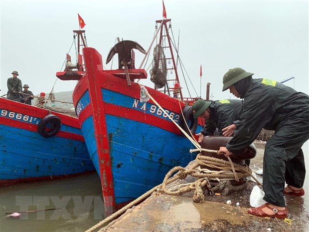 Bão số 2 suy yếu thành áp thấp nhiệt đới, đi vào Ninh Bình, Thanh Hóa