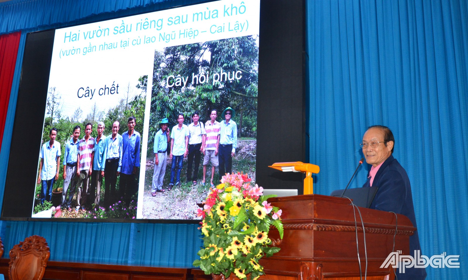 Tiền Giang: Tìm giải pháp khôi phục vườn sầu riêng