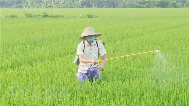Hai nhóm giải pháp đảm bảo cung ứng đủ lương thực, thực phẩm