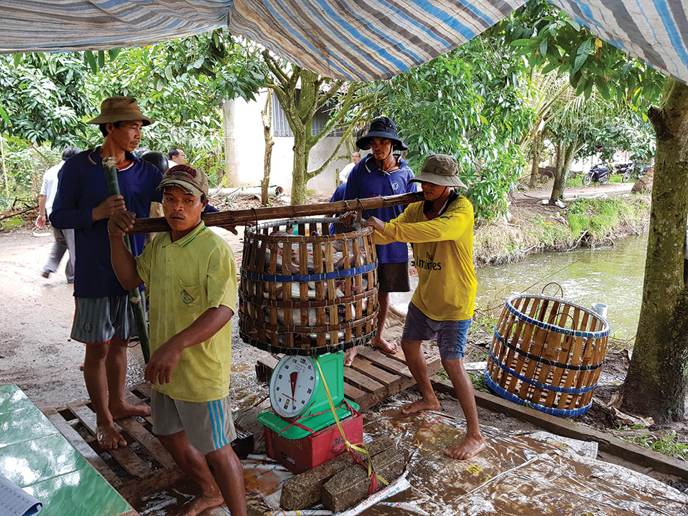Nâng cao giá trị thủy sản