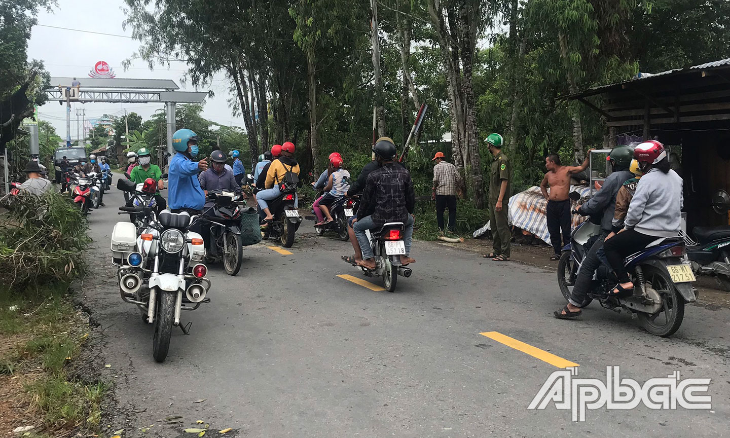 Tiền Giang: Đảm bảo thông thoáng tầm nhìn toàn tuyến đường tỉnh 865
