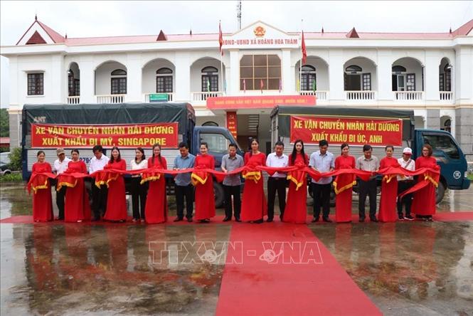 Hàng chục tấn nhãn tươi Việt Nam cập cảng thị trường Australia