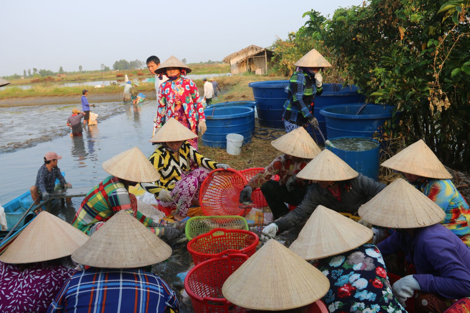 Nón lá - một ký hiệu của văn hóa Việt