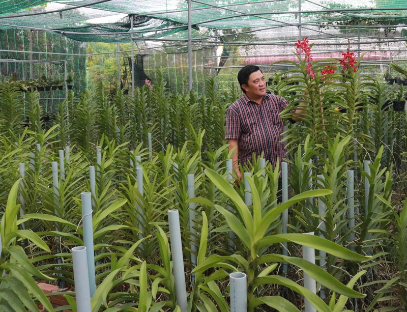 Vĩnh Long: Xây dựng thế trận lòng dân vững chắc, góp phần phát triển kinh tế- xã hội