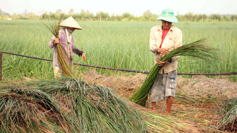 Vĩnh Long: Xây dựng thế trận lòng dân vững chắc, góp phần phát triển kinh tế- xã hội