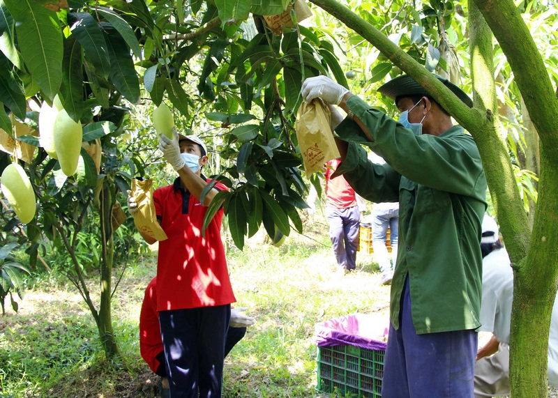 Vĩnh Long: Xây dựng thế trận lòng dân vững chắc, góp phần phát triển kinh tế- xã hội
