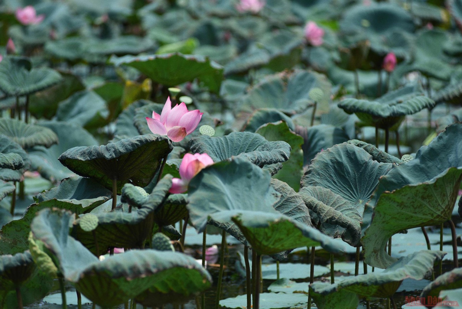Lăng Gia Long, nơi an nghỉ của vị vua đầu tiên triều Nguyễn