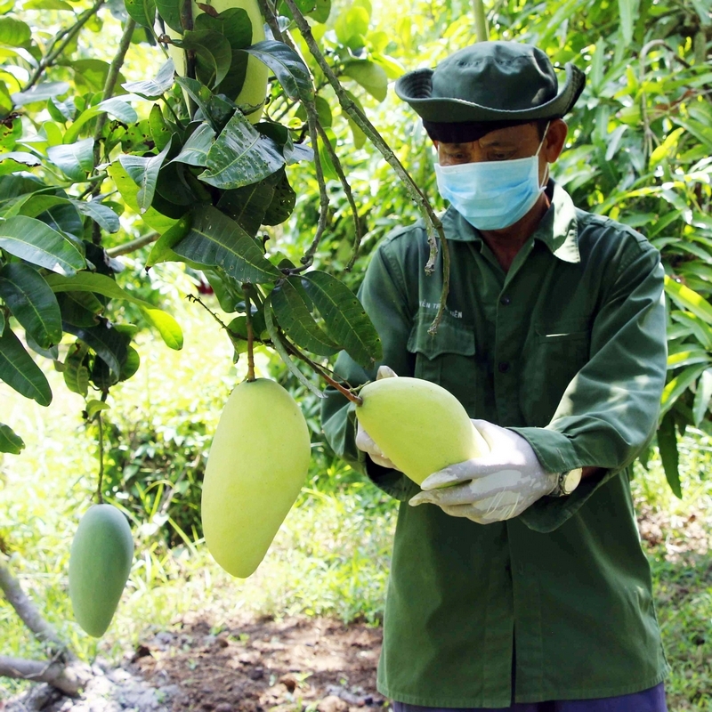 Vũng Liêm vững tin bước vào nhiệm kỳ mới