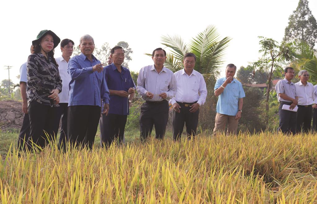 Chào mừng Đại hội đại biểu Đảng bộ huyện Phú Tân lần thứ XII, nhiệm kỳ 2020-2025: Đưa huyện cù lao phát triển xứng đáng với tên gọi “Phú Tân”