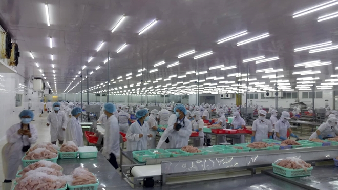 Cơ hội cho nông sản vùng đồng bằng sông Cửu Long từ Hiệp định EVFTA