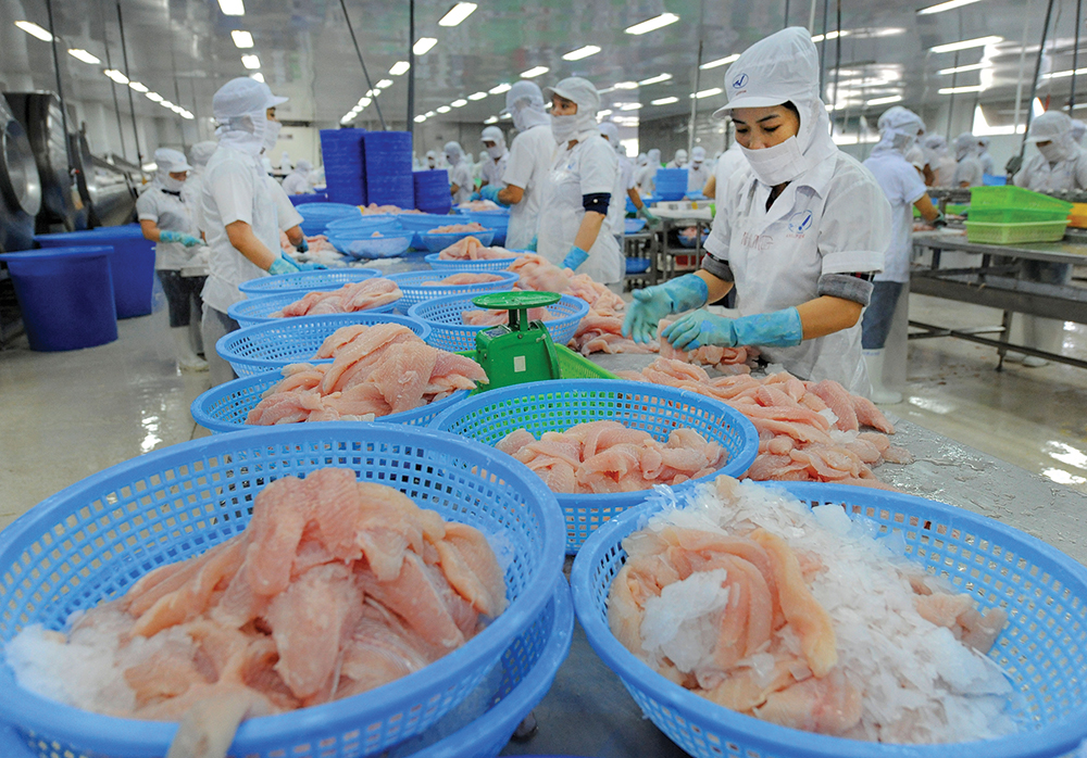 Chú trọng thị trường nội địa