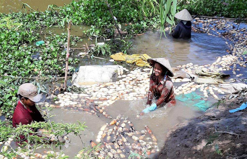 Tạo động lực phát triển từ các phong trào thi đua