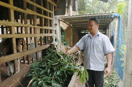 Người nông dân Khmer vượt khó thoát nghèo