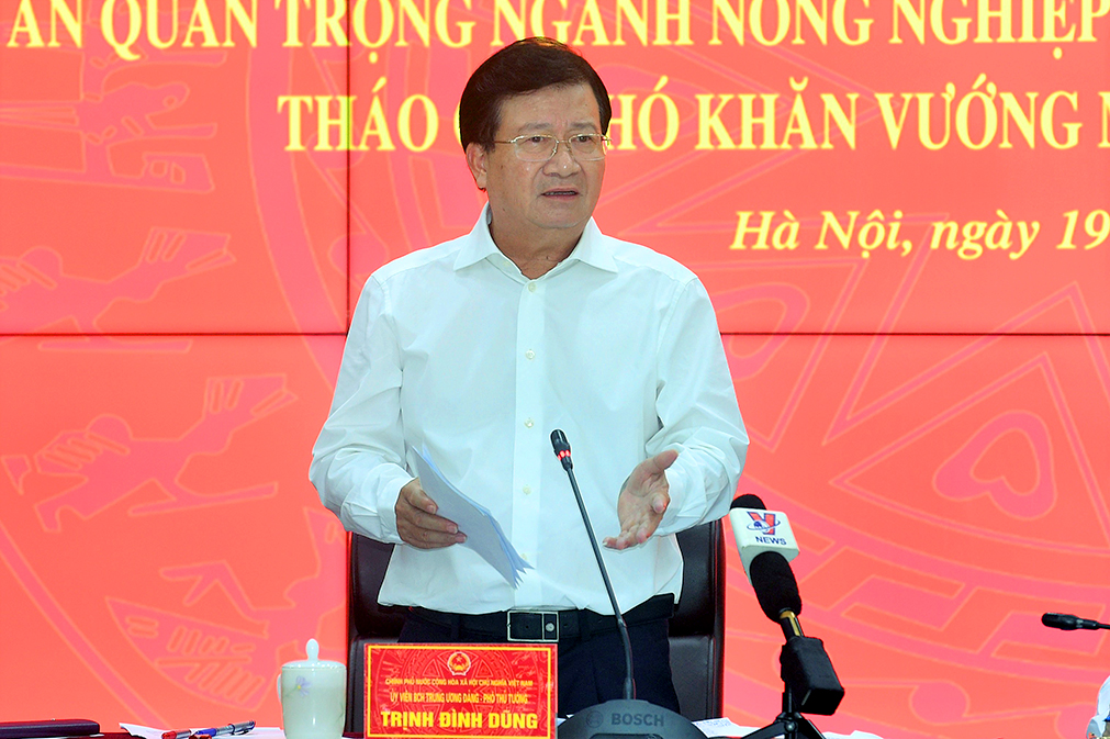 Giải ngân đầu tư công để huy động nguồn lực phát triển nông nghiệp