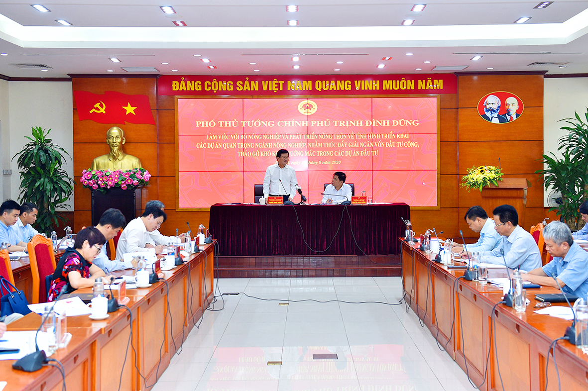 Giải ngân đầu tư công để huy động nguồn lực phát triển nông nghiệp