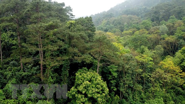Ghé thăm Vườn quốc gia Tam Đảo - khu đa dạng sinh học cao