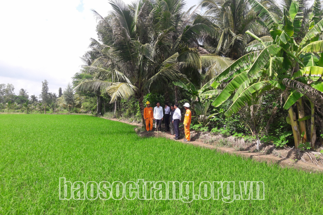 Đừng biến mình thành kẻ giết người vì sử dụng điện bẫy chuột