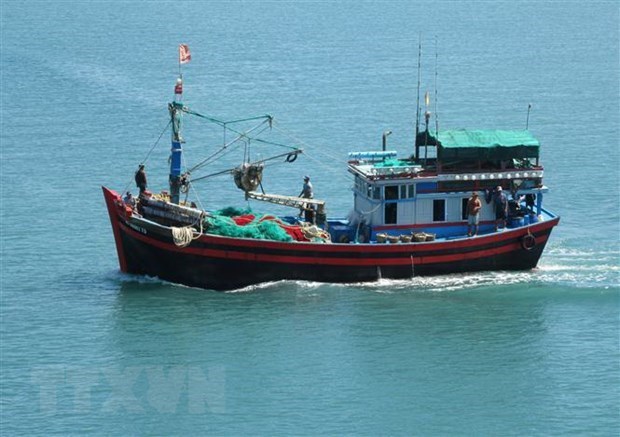 Tăng cường các giải pháp gỡ 'thẻ vàng' đối với thủy sản Việt Nam