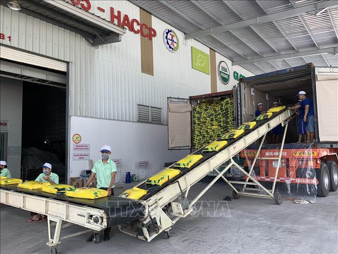 Đã có thể thực hiện chứng nhận chủng loại gạo thơm xuất khẩu sang EU