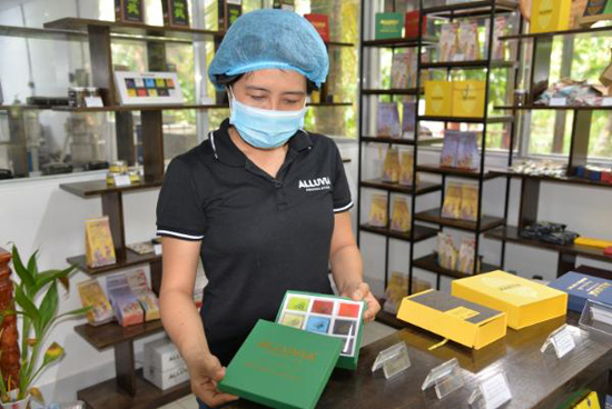 Duyên nợ với cây ca cao