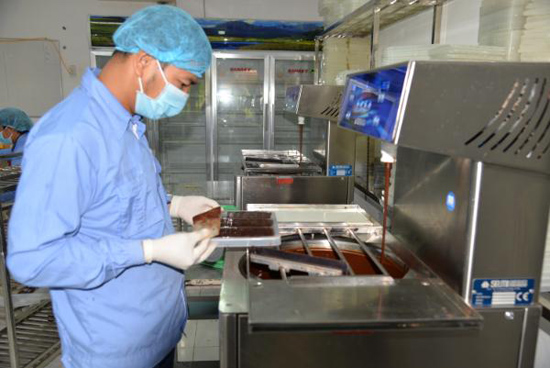 Duyên nợ với cây ca cao