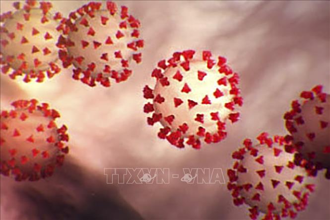 Phần mềm phân tích và dự báo đột biến gene của virus SARS-CoV-2