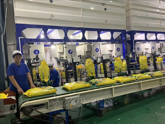Bảo đảm các quy định về chứng nhận gạo thơm xuất khẩu vào EU