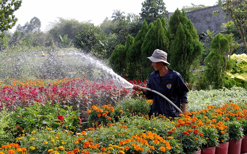 Khát vọng nơi quê hương cách mạng