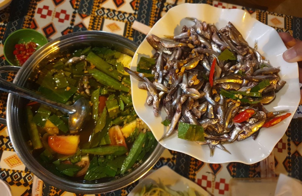 Mùa cá linh muộn