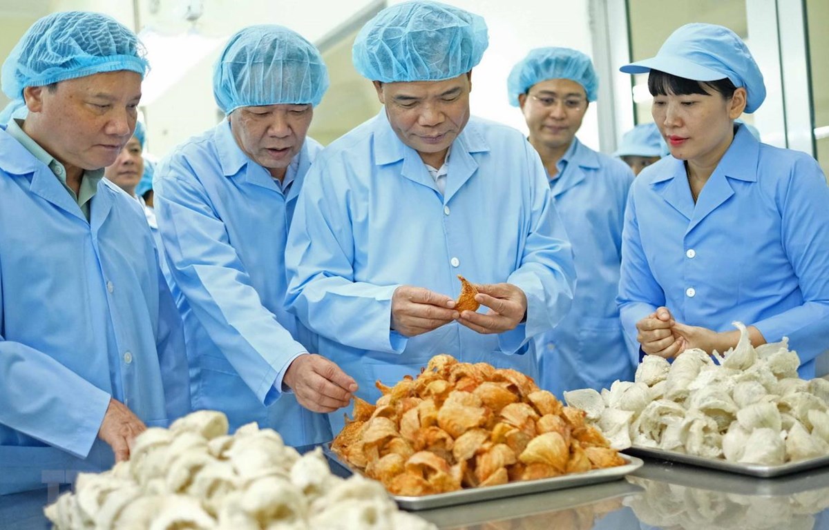 Cơ cấu lại nông nghiệp: Gắn với chế biến và thị trường