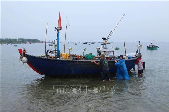 Yêu cầu 12 tỉnh, thành phố thực hiện nghiêm Công điện của Thủ tướng và Ban Chỉ đạo