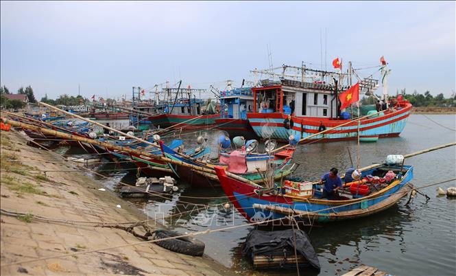 Quảng Trị di dời, sơ tán trên 94.000 người dân nhằm ứng phó với bão số 5