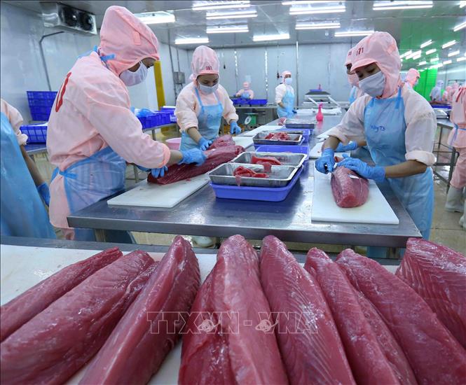 Hiệp định EVFTA: Sức bật mới cho thủy sản Việt Nam