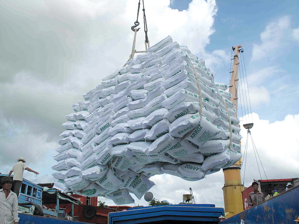 Nông nghiệp tiếp tục giữ vai trò nền tảng trong phát triển kinh tế của tỉnh