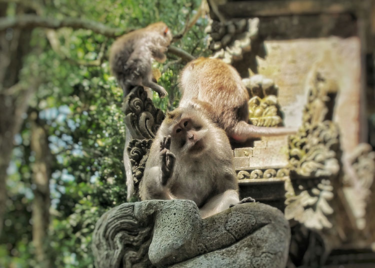 Đến Bali mà bỏ qua nơi này thì phí cả chuyến đi