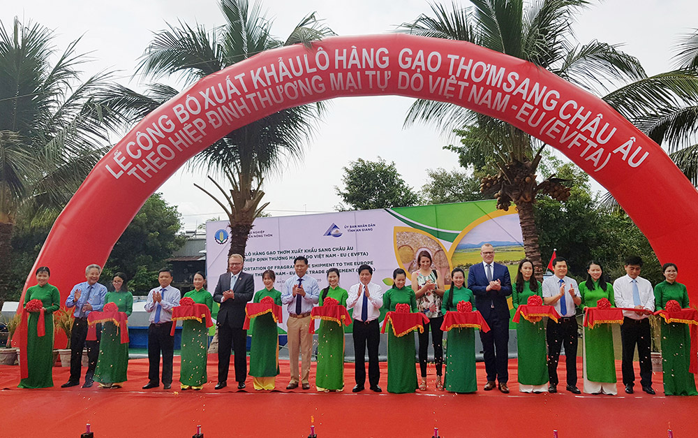 Xuất khẩu gạo thơm sang Châu Âu theo EVFTA