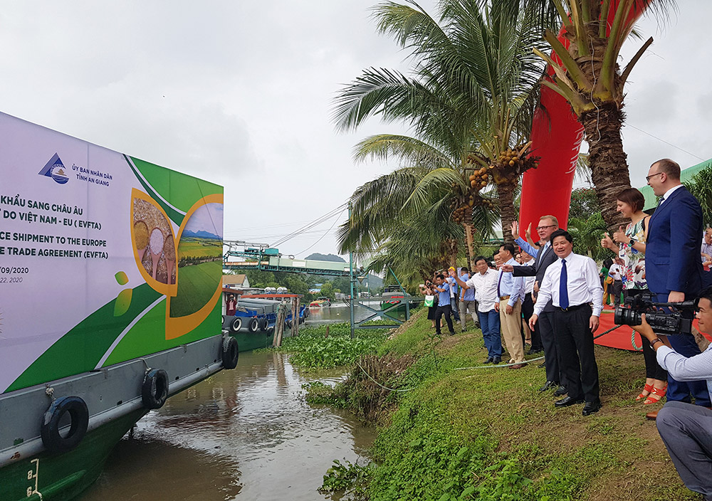 Xuất khẩu gạo thơm sang Châu Âu theo EVFTA