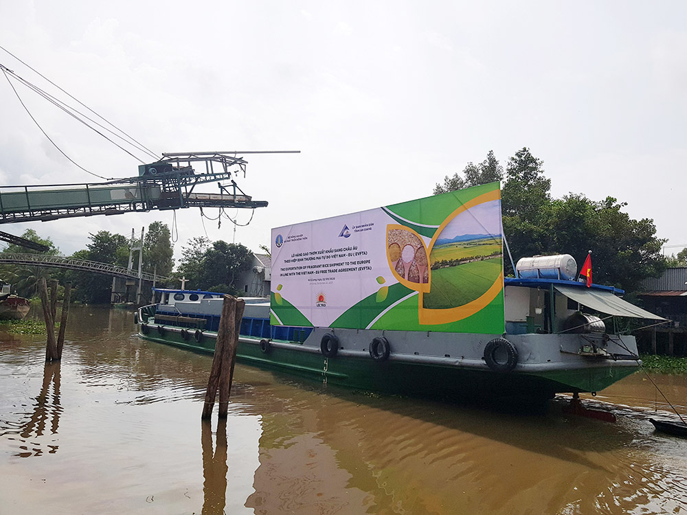 Xuất khẩu gạo thơm sang Châu Âu theo EVFTA
