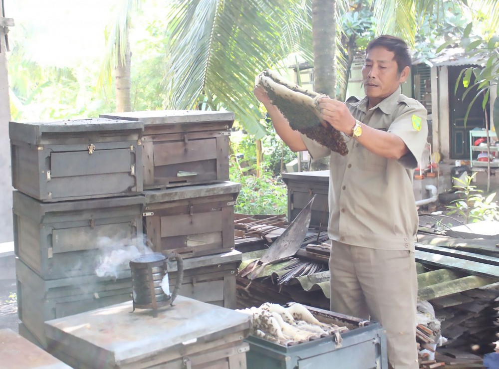 Cựu chiến binh quận Ô Môn thi đua gương mẫu