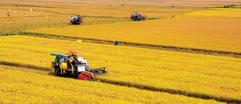 Phấn đấu đến năm 2025, tăng trưởng kinh tế của An Giang bằng mức trung bình cả nước