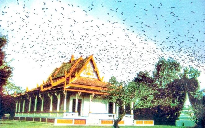 Về với Sóc Trăng để trải nghiệm sức hấp dẫn từ vùng đất đến con người